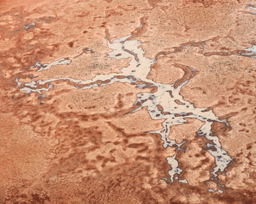 Desert Rains