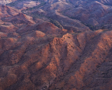 Arkaroola