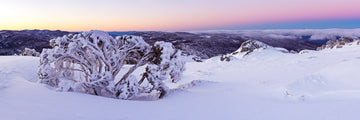 South Ram's Head, NSW