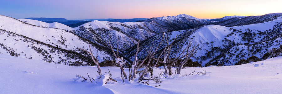 Mount Feathertop, VIC