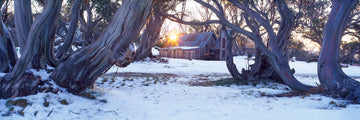 Wallace Hut, VIC