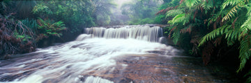 Queens Cascades, NSW