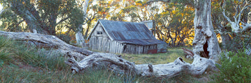 Wallace Hut, VIC II