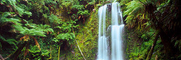 Beauchamp Falls, VIC