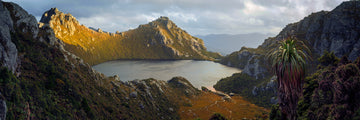 Lake Oberon Pandani, Western Arthurs, Tasmania