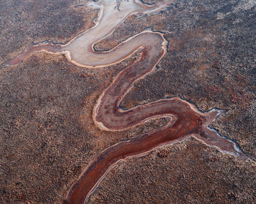 Rainbow Serpent